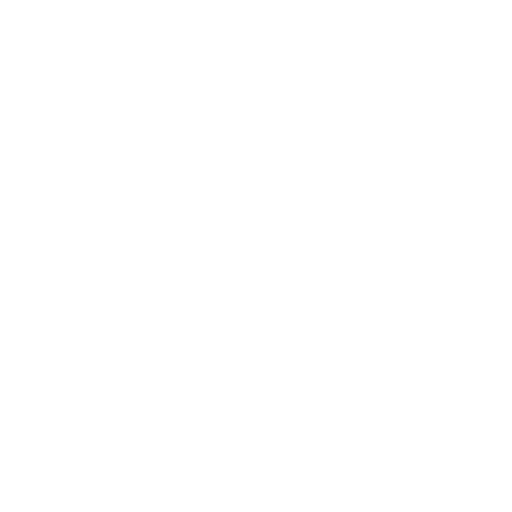 Premium Service Standards